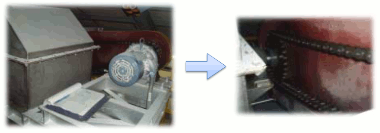 Elevador de cangilones para refinado de azúcar