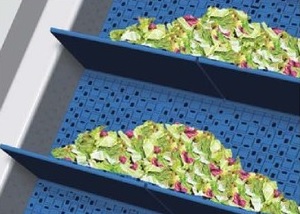 Transporte inclinado