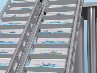 Transporte de pescado y marisco