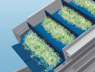 Transporte de verduras, etc.