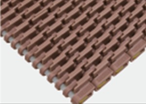 Tipo de costilla elevada