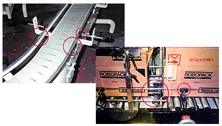 Foto de un ejemplo de adopción