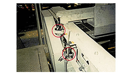 Foto de un ejemplo de adopción