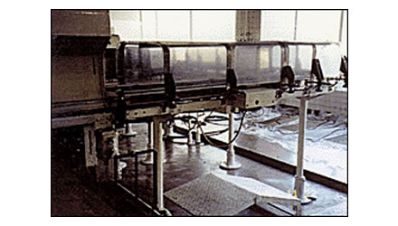 Foto de un ejemplo de adopción