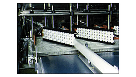 Foto de un ejemplo de adopción