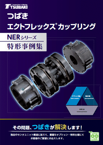 NERシリーズ 特形事例集