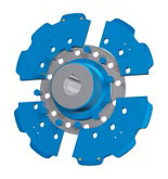 tipo de dientes de reemplazo de anillo